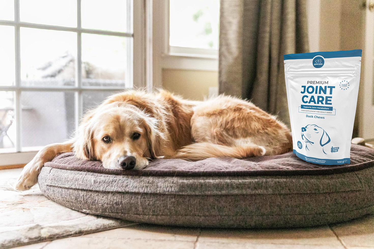 Chien couché sur un oreiller. A côté, un sac de Premium Joint Care